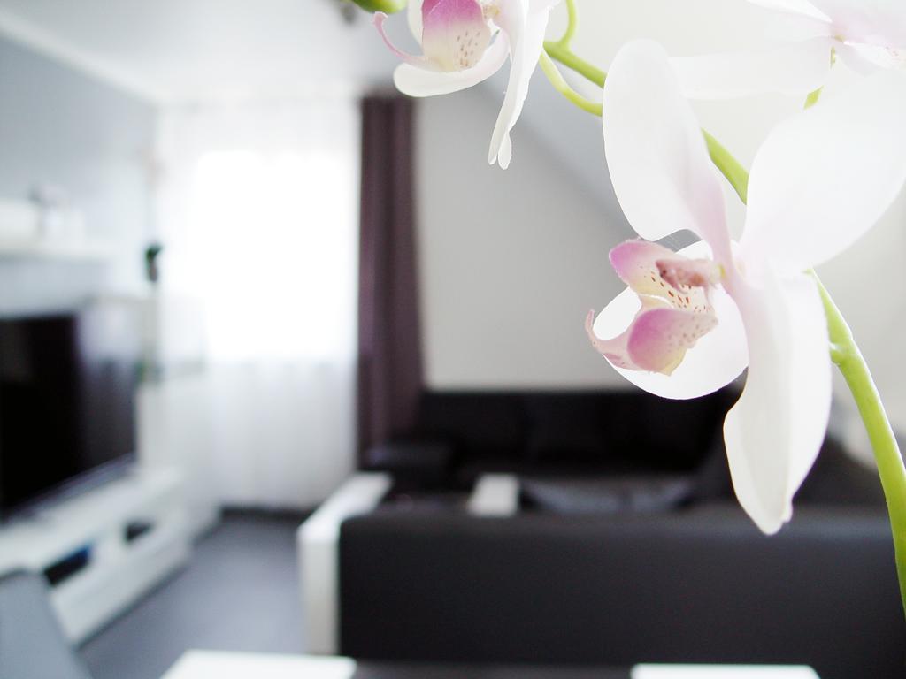 La Domus Premium Osnabrueck Lotte Lägenhet Exteriör bild
